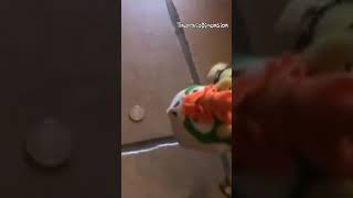 Hechemos un Volado - Dúper Mario Bros Episodio 7