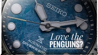 Final review of 2024: Seiko Mini Tuna Save The Ocean Antarctica SRPH77K1