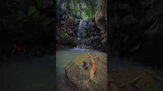 Download lagu story wa mancing  #storywa #storywa30detik #storymancing mp3
