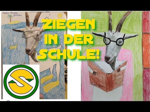 , title : 'Das Lämmer-Dilemma / Ziegen in der Schule'