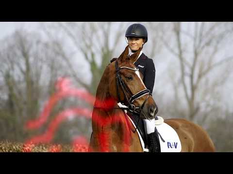 35 All to you Wallach v. All at once - Sir Donnerhall