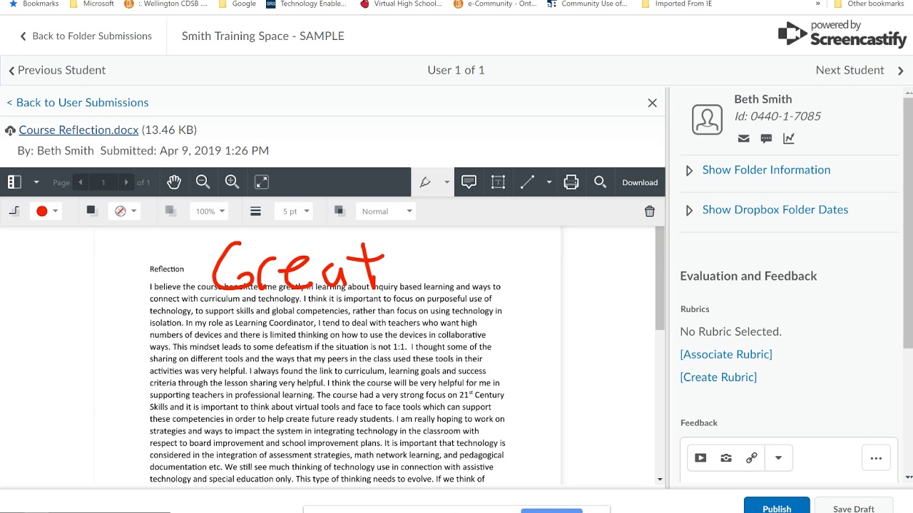 Brightspace Annotations Tool