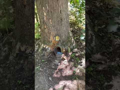 Fairy house 🧚🏻‍♀️🧚