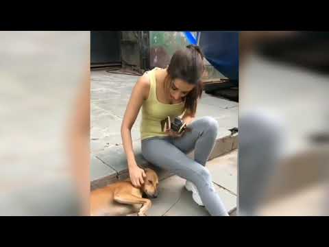 Sharadha Kapoor playing with street dog