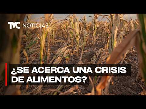 Sequía destruye cultivos y afecta a miles de familias en Honduras