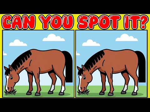 Genius Level Spot the Difference: Only 1% Can Solve! (10-Minute Brain Workout)