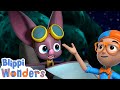 Blippi Wonders Bats Cartoons For Kids Blippi Animated Full Episodes