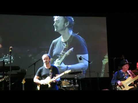 Sluneční hrob - Mišík, Koller, Kovács [Tribute to Radim Hladik]