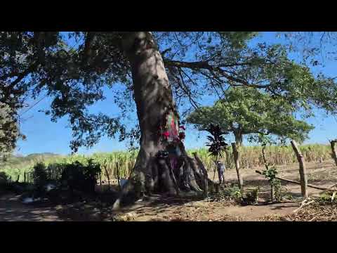 Ruta de San Julián Al desvío Carretera a San Salvador, 31 de diciembre de 2025