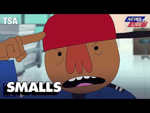 Lil Daddy: TSA | adult swim smalls