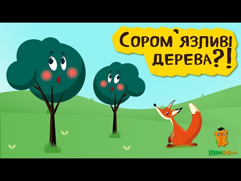 🍀 Дива природи. Явища навколо нас. Сором'язливість крони 🌏