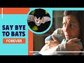 How to Get Rid of Bats in The House Permanently