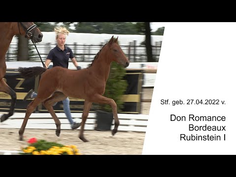 Stf v Don Romance x Bordeaux x Rubinstein I 2022