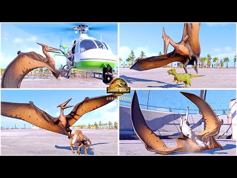 JP3 Pteranodon 2001 Model All Perfect Animations 🦖 Jurassic World Evolution 2 - Pterosaur