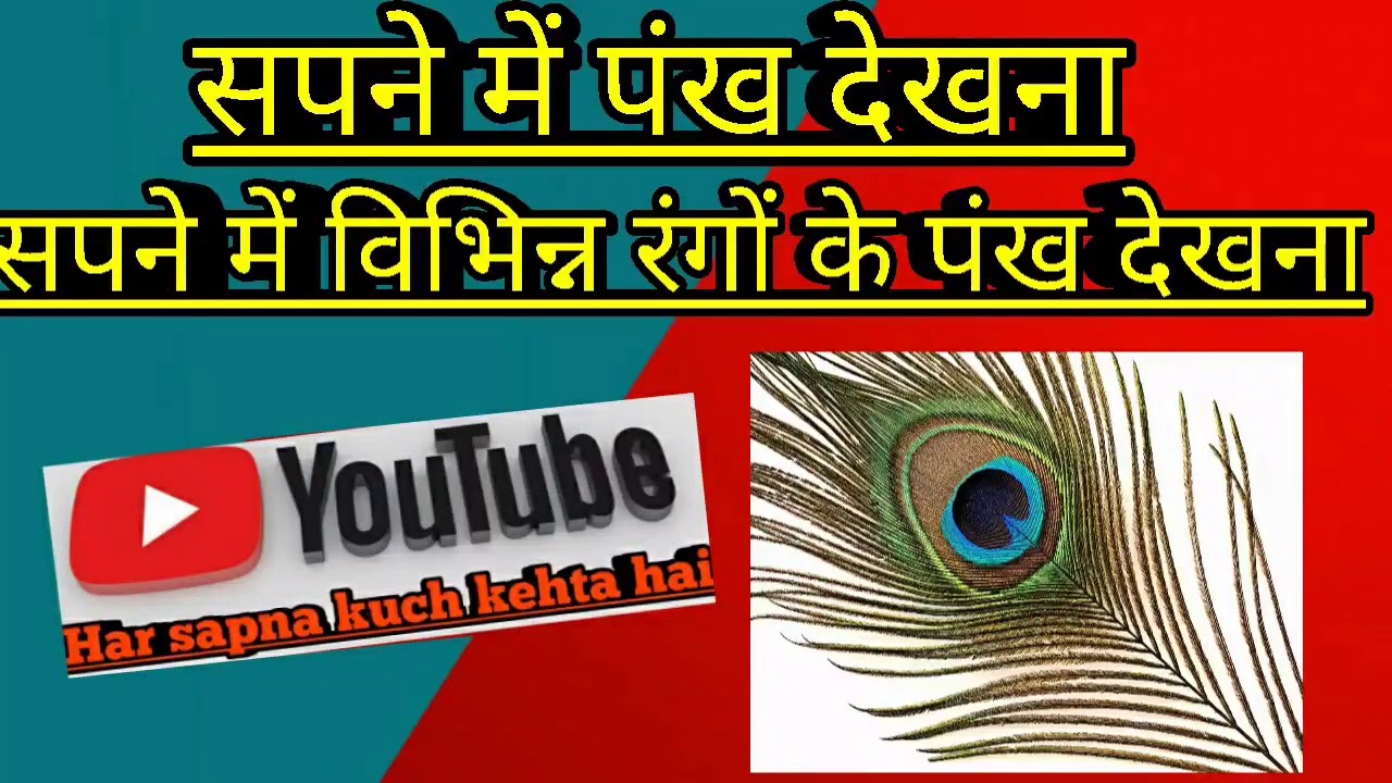 Watch video सपने में पंख देखना,सपने में अलग अलग रंगों के पंख देखने का अर्थ।sapne me pankh dekhna Now सपने में पंख देखना,सपने में अलग अलग रंगों के पंख देखने का अर्थ।sapne me pankh dekhna