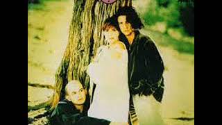 MIL MARIPOSAS / PRESUNTOS IMPLICADOS