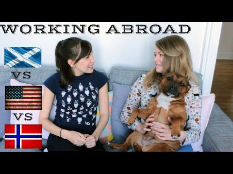 Working in Scotland vs Norway vs America!: Work Culture Abroad! (Part 1!)