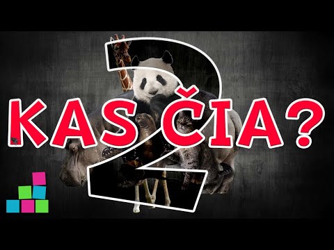 KAS ČIA? #2 dalis | Gyvūnų garsai vaikams lietuviškai