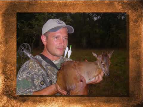 blue duiker bowhunt - tiny ten