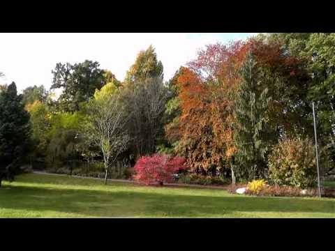 Höstdag i Linköpings Trädgårdsförening 15 oktober 2012