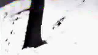 Absurd - Eternal Winter (VHS 1993)