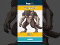 werewolf - 狼人 video thumbnail