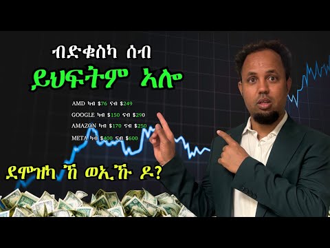 4 ዝበለጹ ትካላት the best stocks for 2026 and on #stockmarket #cryptocurrency #tigrinya  #FUTURE VISION