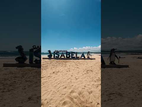 Santa Cruz to Isabela Island, Galapagos