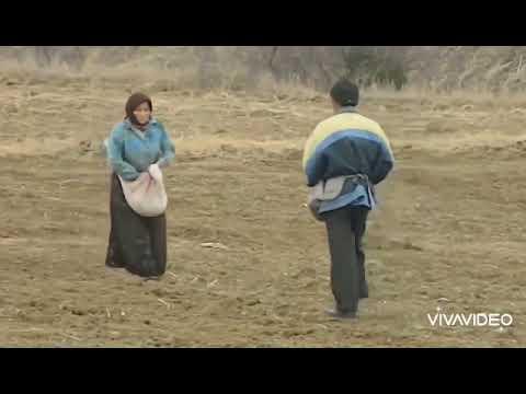 EKİN EKTİM GÜL BİTTİ.