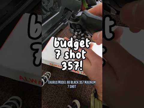 Budget 7 Schuss 357 Magnum! #Waffenladen