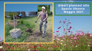Anteprima video YouTube
