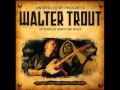 Walter Trout So Afraid Of The Darkness 
