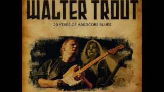 Walter Trout   So Afraid Of The Darkness