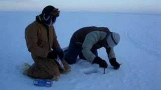 preview picture of video 'Snow sampling on sea ice in Barrow, AK'