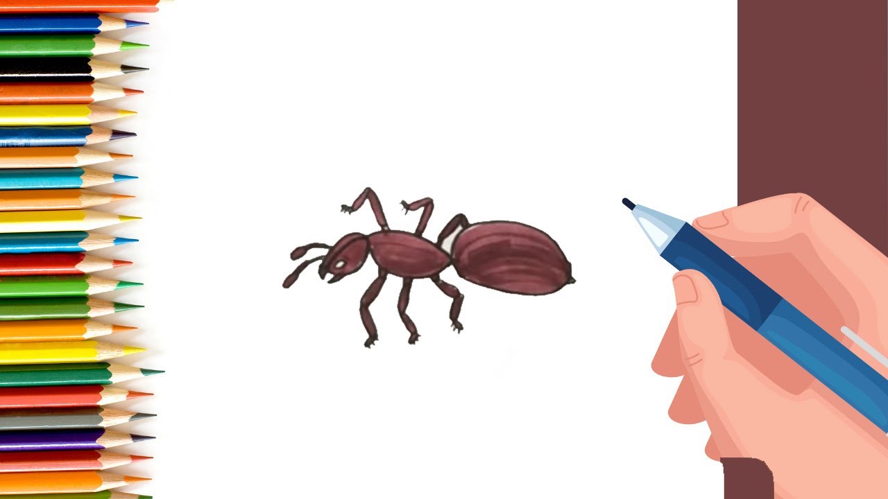 How to Draw a Rose Easy Art Tutorial for Beginners