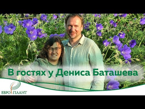 Садовые герои. В гостях у Дениса Баташева.