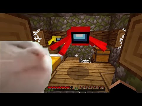 Coffin Meme Among Us but Cat is Vibing Minecraft