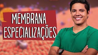 ESPECIALIZAÇÕES DA MEMBRANA PLASMÁTICA - CITOLOGIA -  Prof. Kennedy Ramos