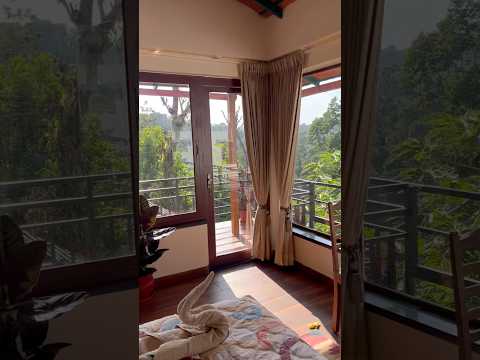 Near to nature🧚‍♂️🫶🌿🍃 #travel #beautiful #airbnb #greenery #peace #youtubeshorts