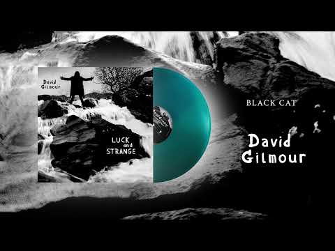 David Gilmour - Black Cat (Official Audio)
