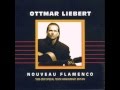 Ottmar Liebert - Surrender 2 Love
