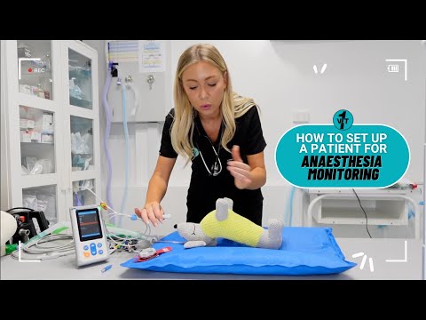 How to set up a veterinary patient in surgery