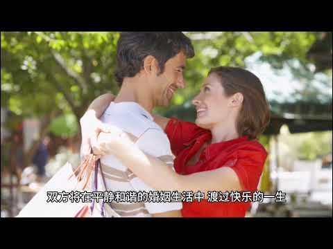 牛和鼠