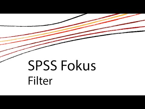 SPSS Fokus [D] - Filter