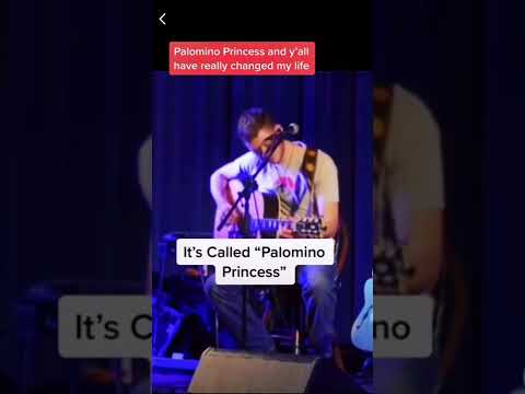 Palomino Princess by Tyler Booth. First time I played it live.