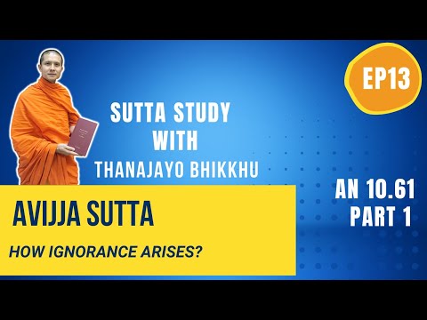Avijja Sutta Part 1: How ignorance arises | Thanajayo Bhikkhu | 18 May 2022