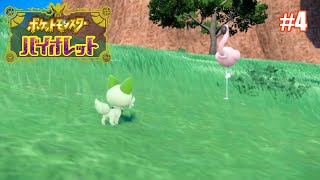 #4 何か色薄いフラミンゴおった！【ポケットモンスターバイオレット】