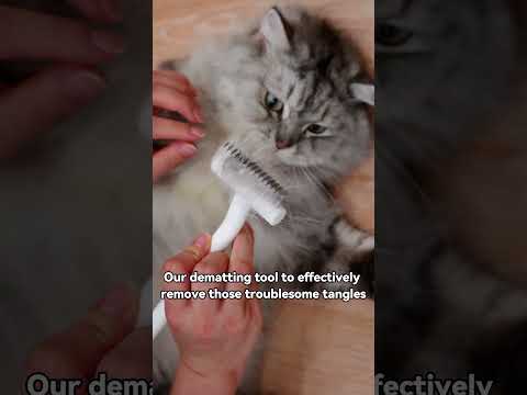 ✅You Won't Believe How Easy It Is to Remove Cat Mats #aumuca #catbrush #catgrooming #cats #shorts