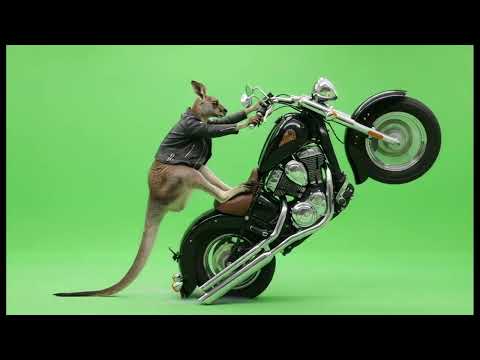 Characters on MOTORCYCLES 🏍️💚 (Green Screen Background for Editing) "1"