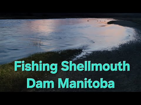 Fishing Shellmouth Dam Manitoba.